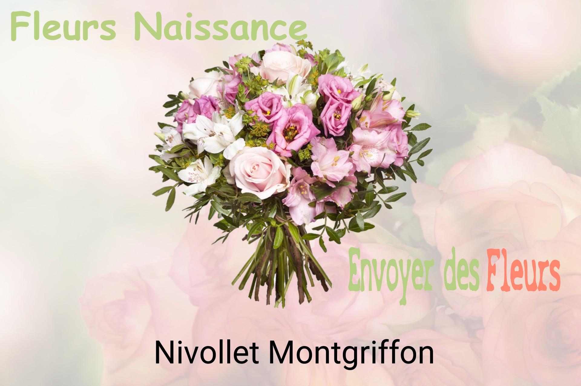 Bouquet de fleurs de naissance livré à Nivollet-Montgriffon